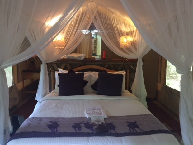 mara tent